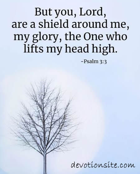 Encouraging Bible Verse:- Psalm 3:3